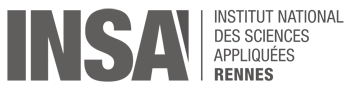 Logo INSA